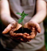 Всі розробки уроків теми “Розмноження та розвиток рослин” для 7 кл.