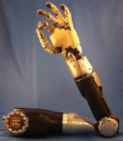 Організм людини для створення штучних органів та роботів.