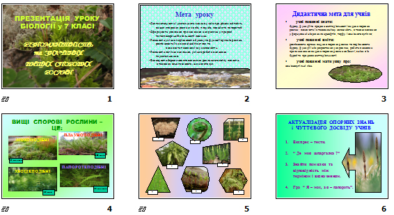 Презентація “Різноманітність та значення вищих спорових рослин”