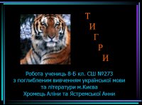 Презентація «Тигри»