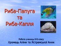 Презентація "Риба – папуга та риба - крапля"