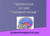 Презентація «Головний мозок» 