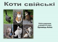 Презентація «Свійські коти»