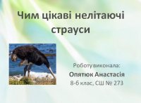 Презентація «Чим цікаві нелітаючі страуси?» 