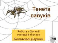 Презентація  «Тенета павуків»