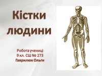 Презентація «Кістки людини»