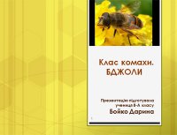 Презентація «Клас Комахи: бджоли»