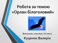 Презентація «Орлан білоголовий»