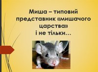 Презентація "Миша – типовий представник «мишачого царства» і не тільки"