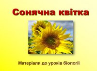 Презентація «Сонячна квітка»